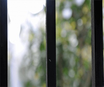 窓のゴキブリの侵入防止対策